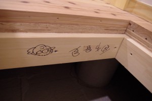 IMGP3206